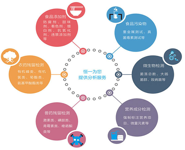 地球人官网 - 国际互换与跨文化合作