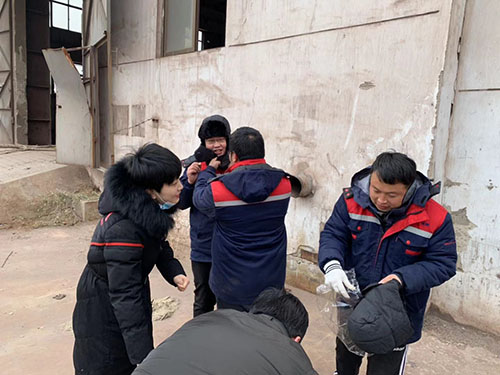 地球人官网 - 国际互换与跨文化合作